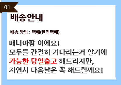 CHOBS Mild foam natural cleaner agent 150ml 300ml 