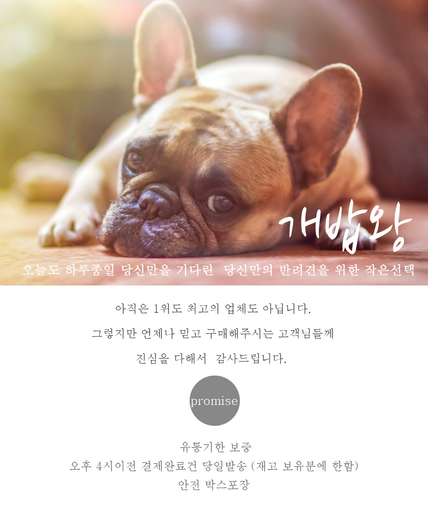 NEW PET DOG FEED Pulmuone Amio Organic Dog Feed Ho