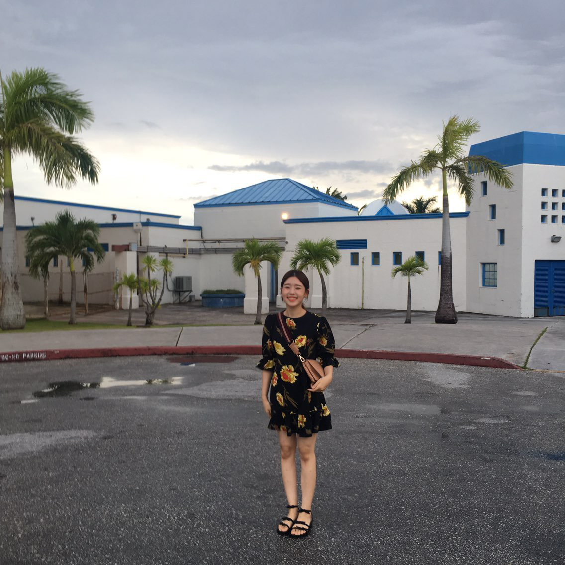 New Women's Dress Haggle Flower One Piece Frill