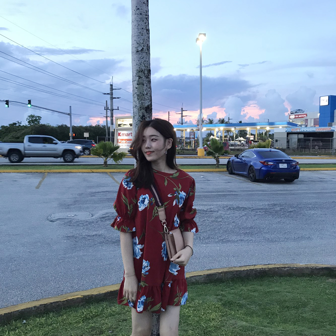 New Women's Dress Haggle Flower One Piece Frill