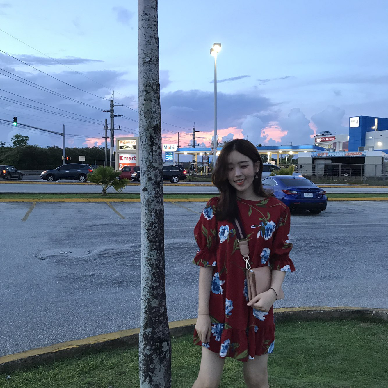 New Women's Dress Haggle Flower One Piece Frill