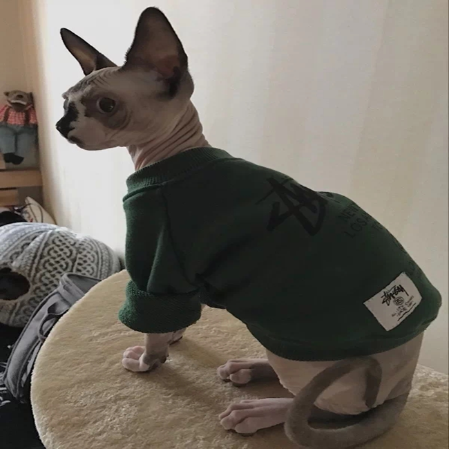 NEW DOG FASHION PESIYAM Pink Green Stussy st puppy