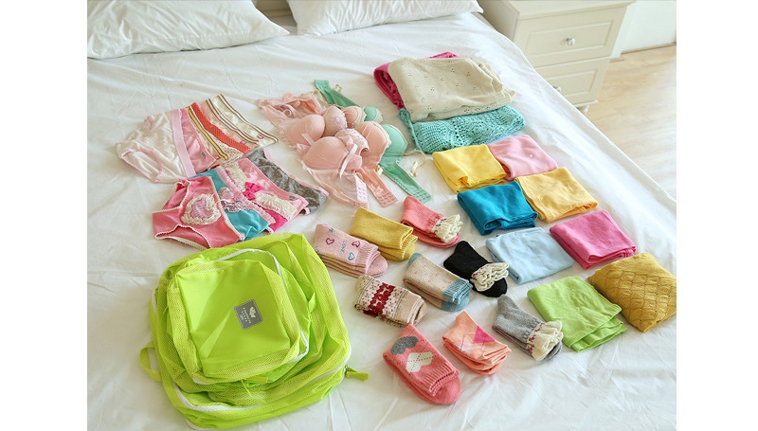 NEW TRAVEL STORAGE ORGANISER Travel Carrier Pouch