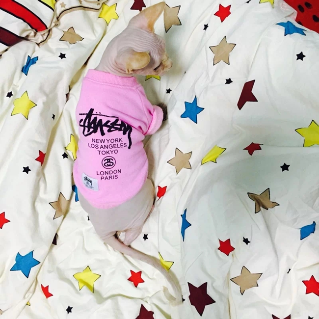 NEW DOG FASHION PESIYAM Pink Green Stussy st puppy