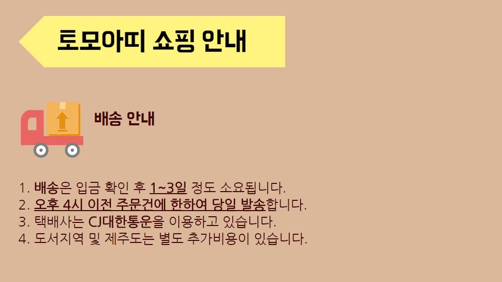 Japan Dean &amp Deluca cooler bag 3 piece set GLOW