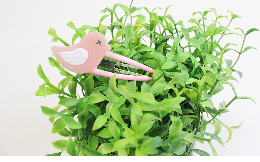 Infant tick pin collection from 800 won ~ hairpin 