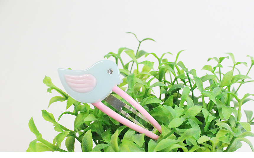 Infant tick pin collection from 800 won ~ hairpin 