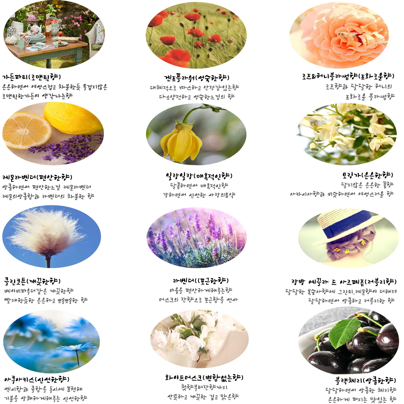 Car Air Freshener Arisolai One Piece Gypsum Air Fr