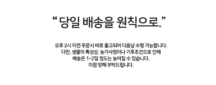 New Pumpkin Juice 100% made of 100% old pumpkin