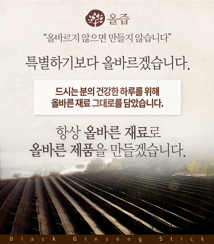 Korea Ginseng Correct black ginseng stick 10ml x 3