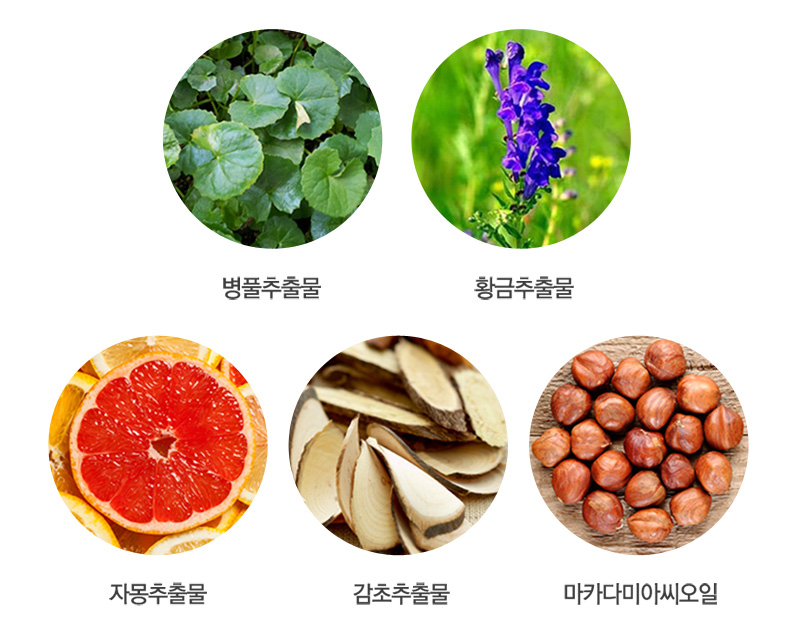 New Dr. Young Pure White Toning Whitening Cream 50