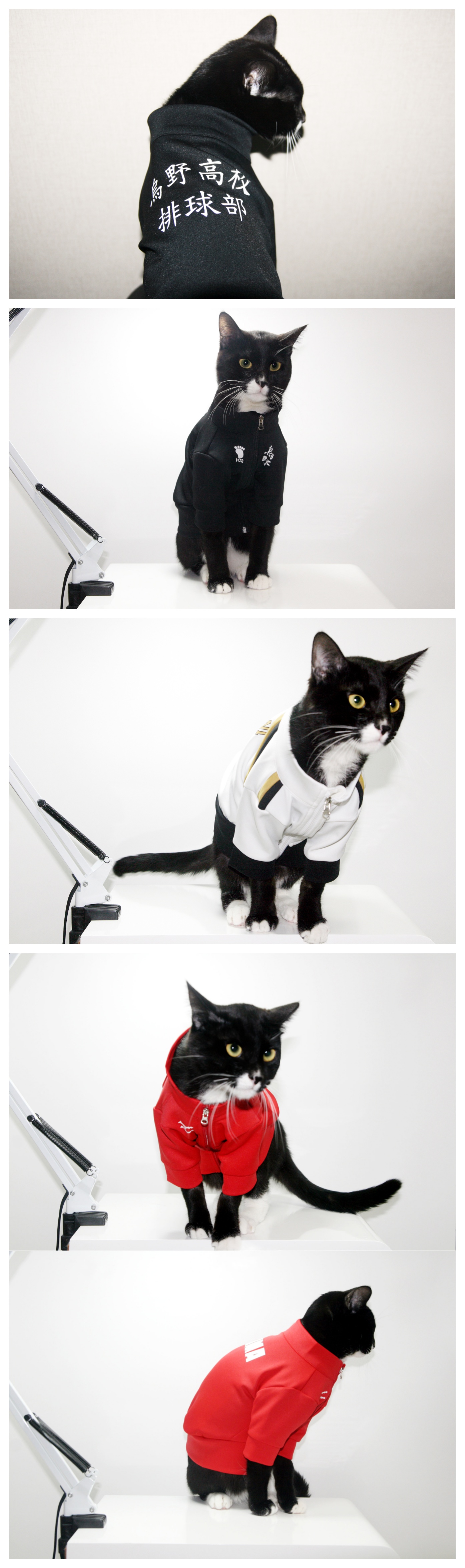 NEW DOG FASHION Haikyu - !! Jersey Dogs Cat Clothe