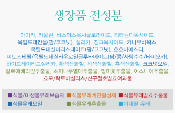 Makeup Signature Renew Compact Powder No. 23 Miner