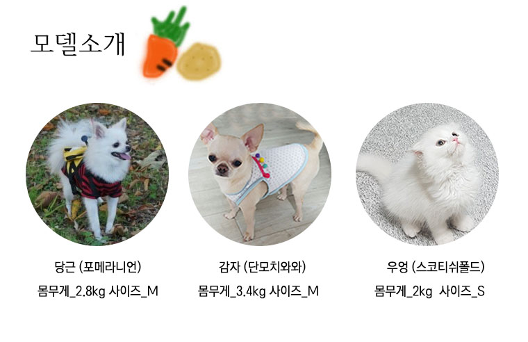 NEW DOG FASHION dog clothes basic T-shirt T-shirt 