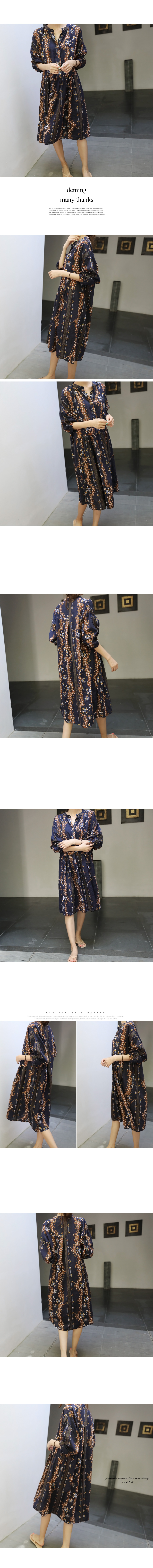 Dimming roulette ethnic long dress, two-color autu