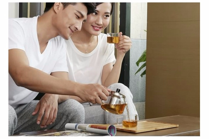 4 seasons Tippo genuine Sama Toyo pot set Heat-res