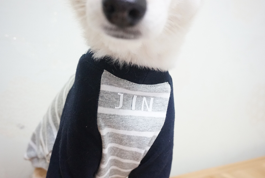 NEW DOG FASHION Doggie Handmade Clothes Dog Garmen