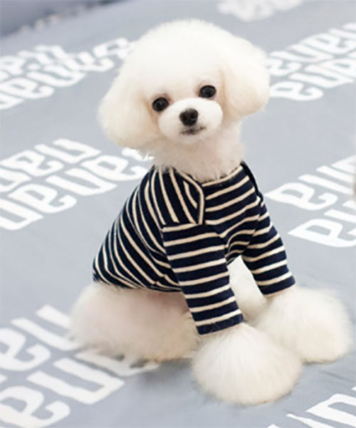 NEW DOG FASHION dog clothes basic T-shirt T-shirt 