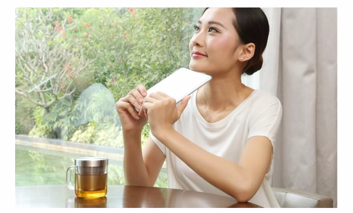 4 seasons Tippo genuine Sama Toyo pot set Heat-res