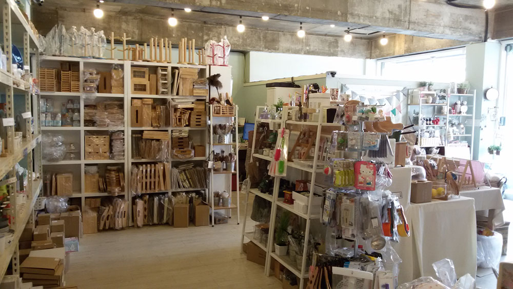 Scrubber Dish Washing japan Natural Palmwood Brush