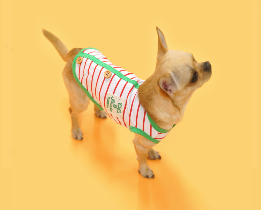 NEW DOG FASHION Doggy Clothes Paris Dog Dog Clothe