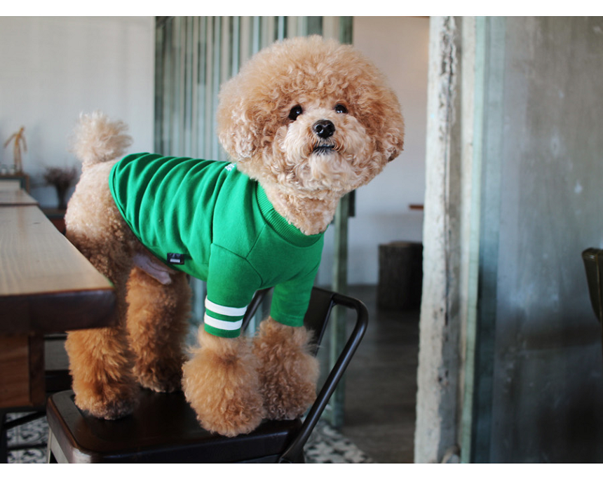 NEW DOG FASHION Lolo DOG Puppy Cloth Cheerleader C