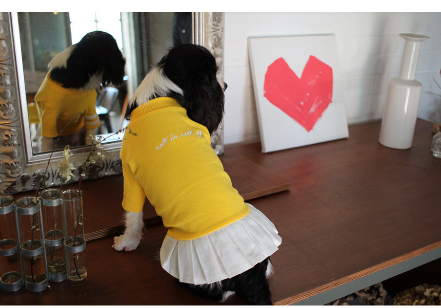 NEW DOG FASHION Lolo DOG Puppy Cloth Cheerleader C