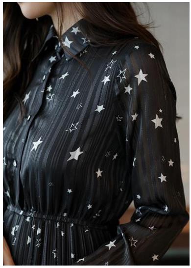 Simple, autumn star wrinkle chiffon dress