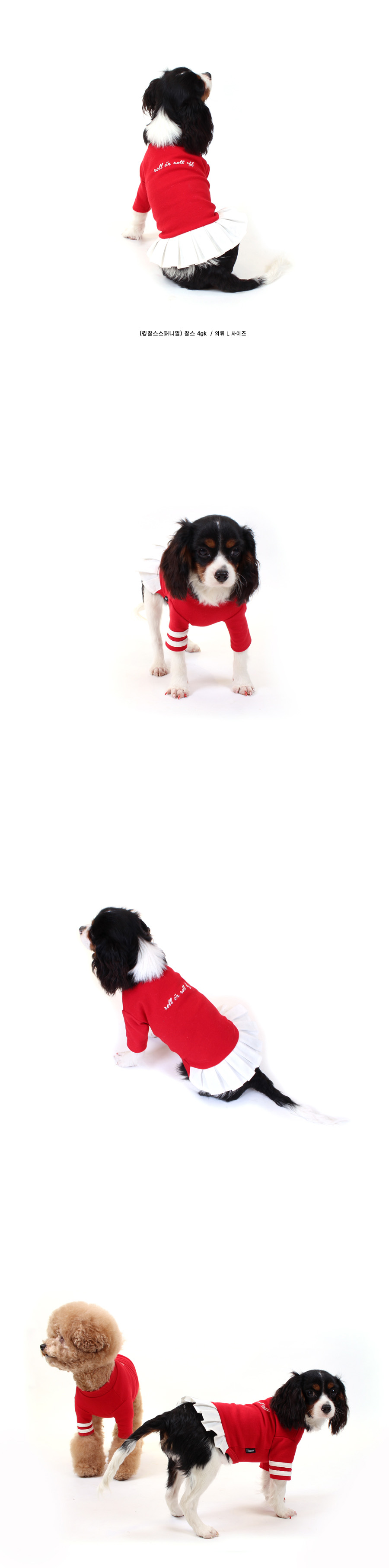 NEW DOG FASHION Lolo DOG Puppy Cloth Cheerleader C