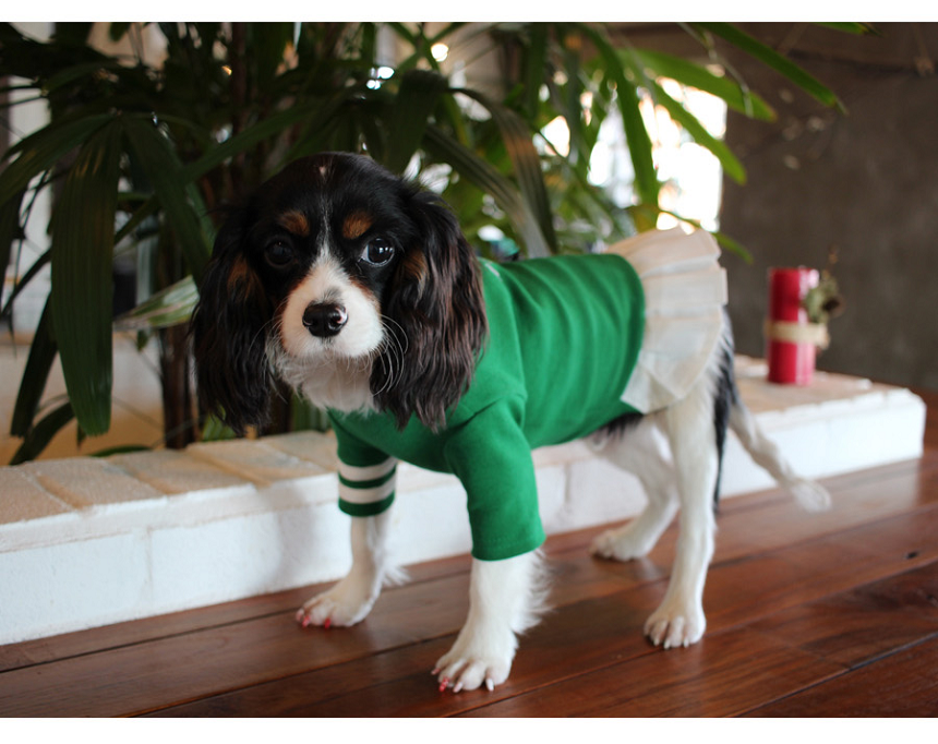 NEW DOG FASHION Lolo DOG Puppy Cloth Cheerleader C