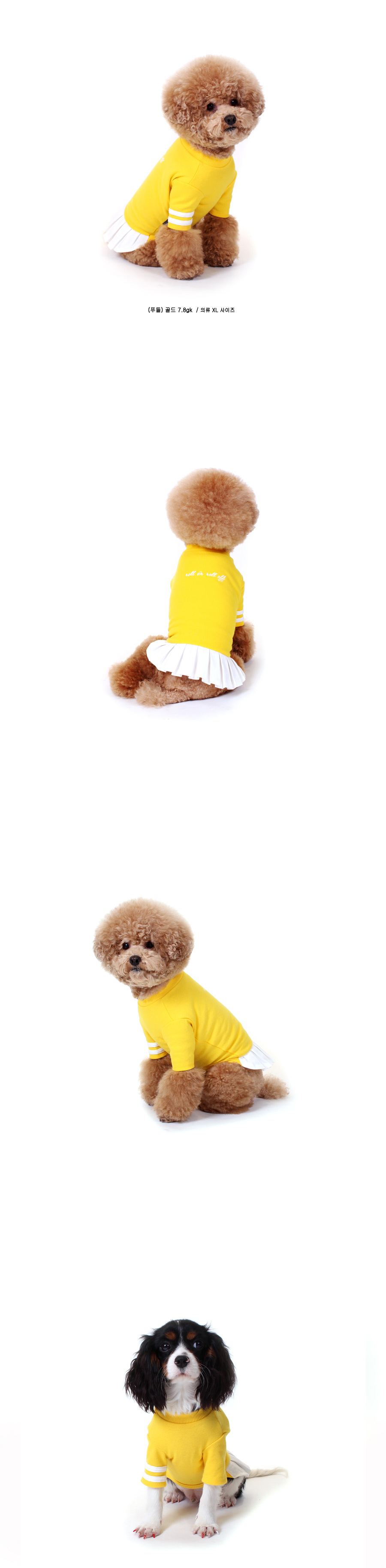 NEW DOG FASHION Lolo DOG Puppy Cloth Cheerleader C