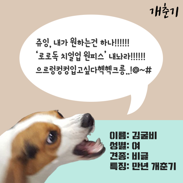 NEW DOG FASHION Lolo DOG Puppy Cloth Cheerleader C