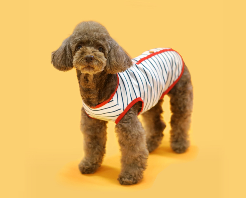 NEW DOG FASHION Doggy Clothes Paris Dog Dog Clothe
