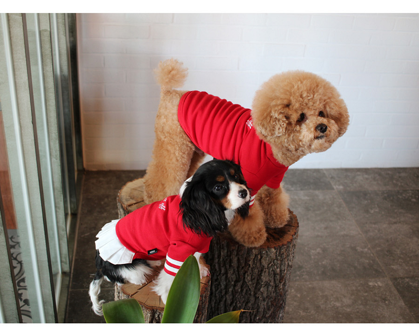NEW DOG FASHION Lolo DOG Puppy Cloth Cheerleader C
