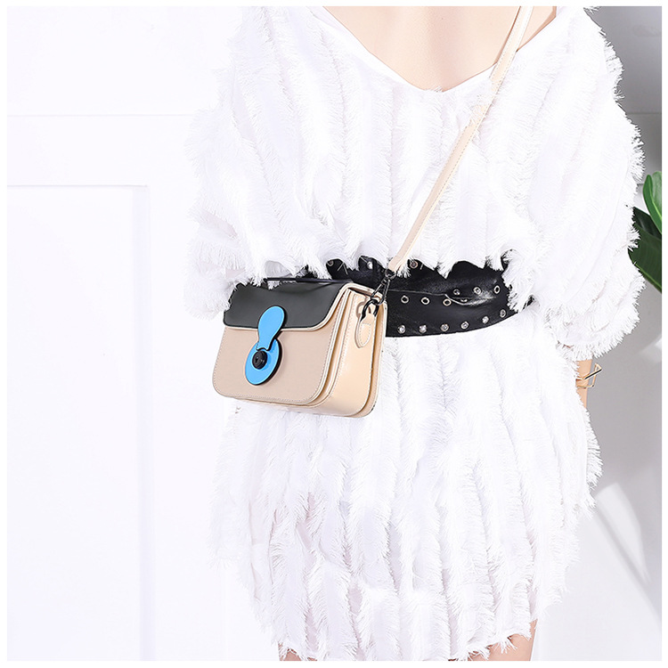 New color square cross bag female lady bag 20 ladi