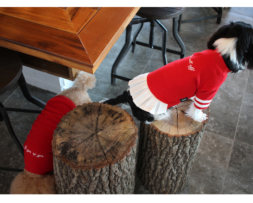 NEW DOG FASHION Lolo DOG Puppy Cloth Cheerleader C