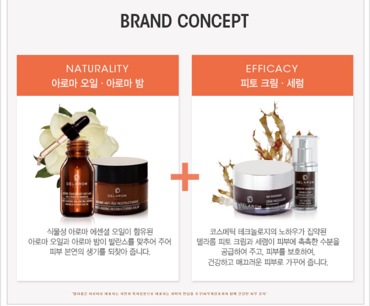 New Anti Aging DelaRoom Anti Aging Restructuring 3