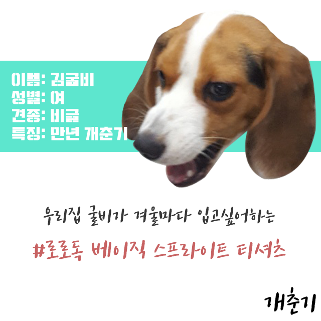 NEW DOG FASHION Lolo Dog Puppy Clothes Beige Sprit