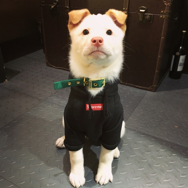 NEW DOG FASHION Supreme ST hooded dog clothes dog 