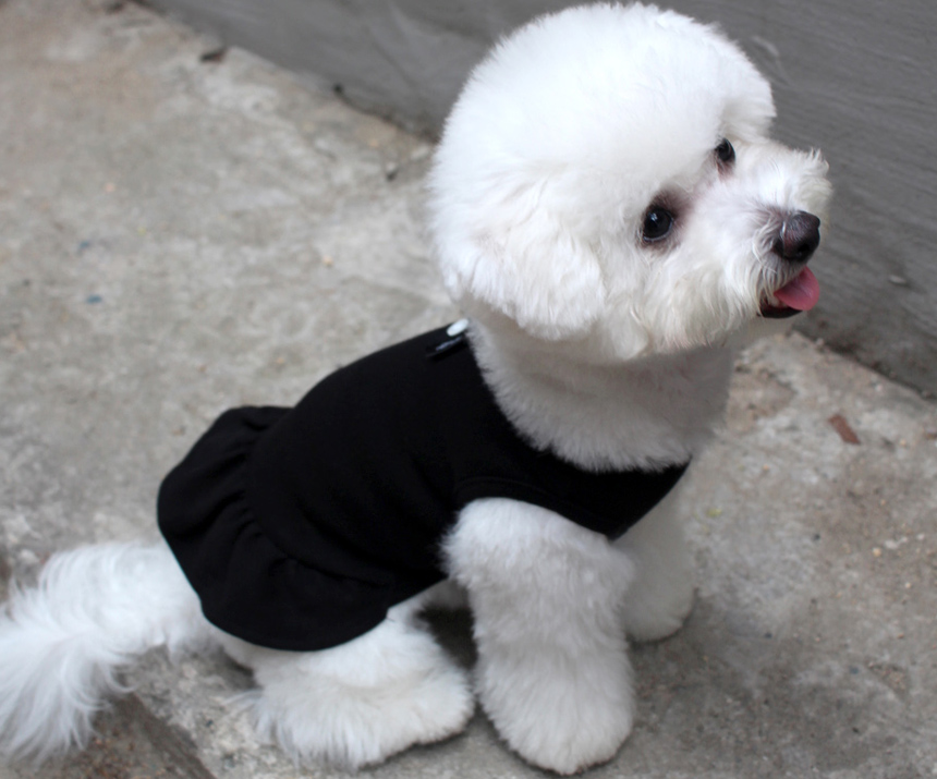 NEW DOG FASHION DOG Dog Dog Dress Button