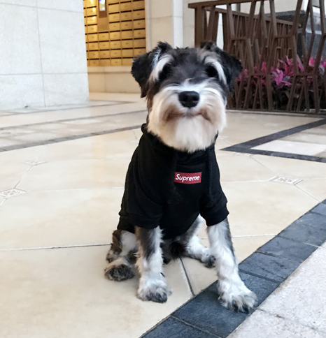 NEW DOG FASHION Supreme ST hooded dog clothes dog 