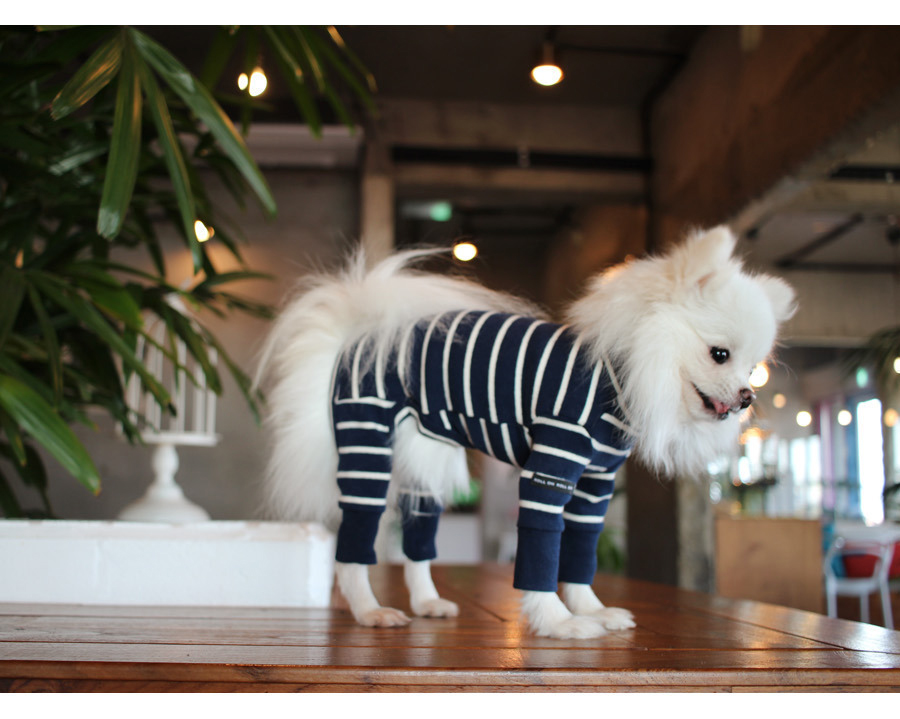 NEW DOG FASHION Lolo Dog Puppy Clothes Beige Sprit