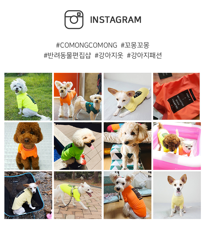 NEW DOG FASHION ★ Cheap Sale ★ Span Chan-chan Colo