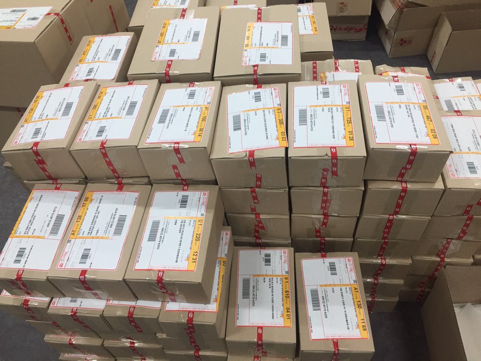 NEW DOG FASHION Doggy Doggy Doggy Bridesmaid Sweat