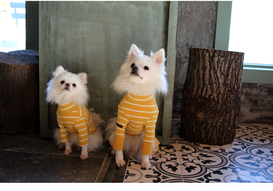 NEW DOG FASHION Lolo Dog Puppy Clothes Beige Sprit