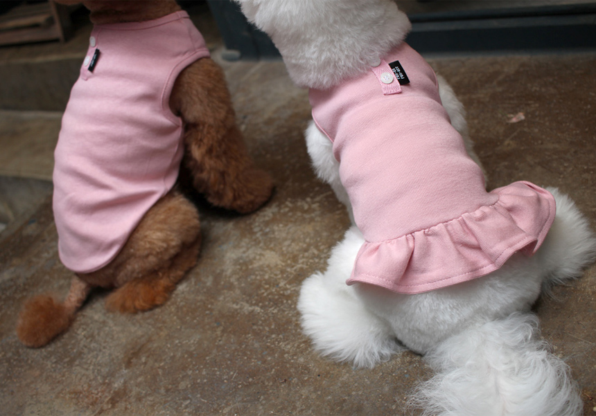 NEW DOG FASHION DOG Dog Dog Dress Button
