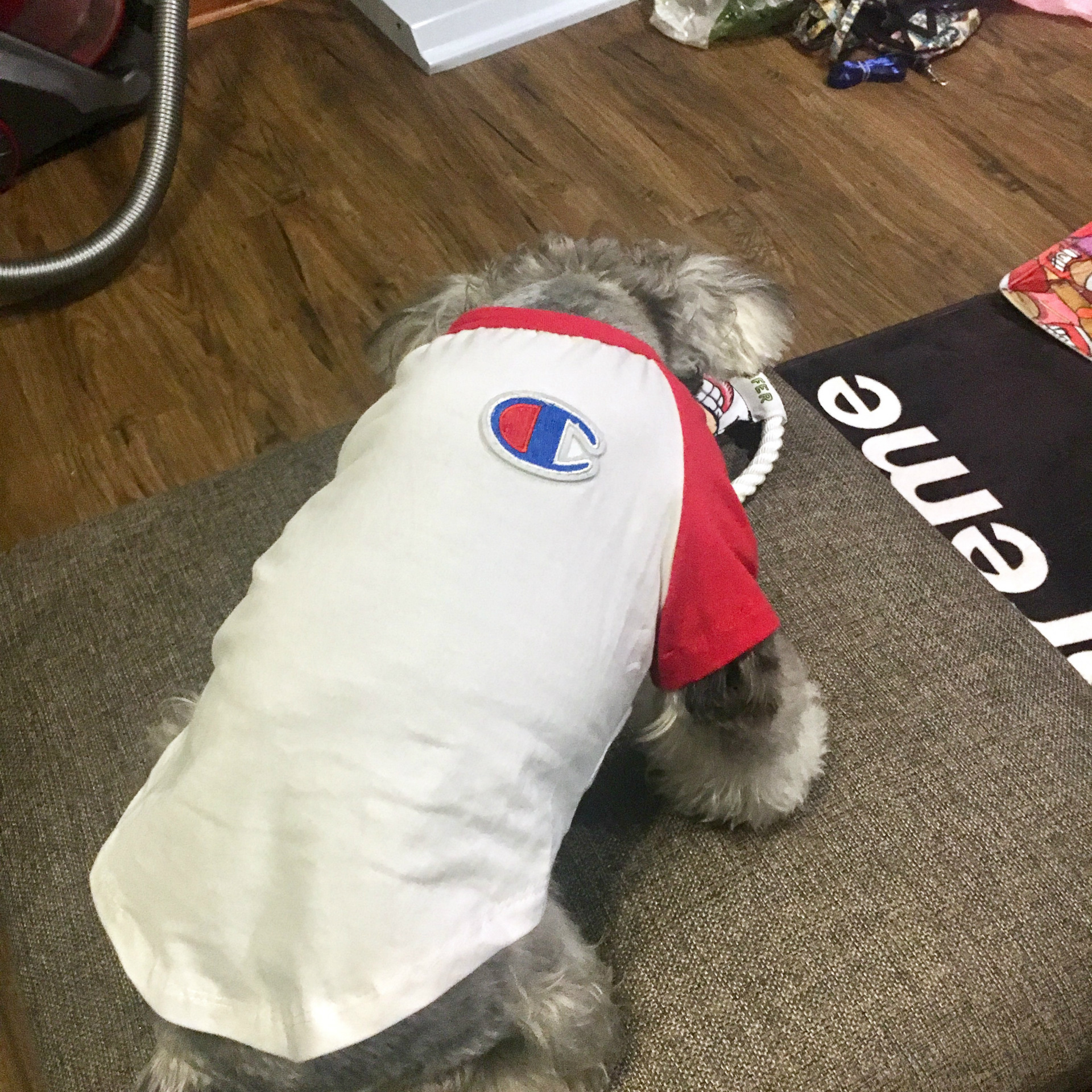 NEW DOG FASHION champion st puppy clothes cat clot