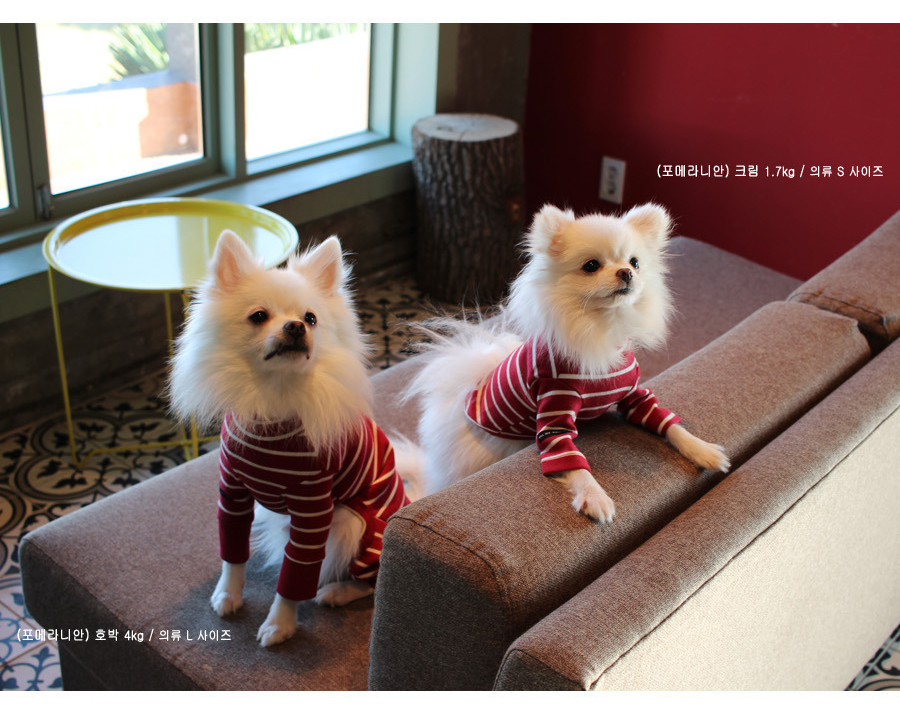 NEW DOG FASHION Lolo Dog Puppy Clothes Beige Sprit