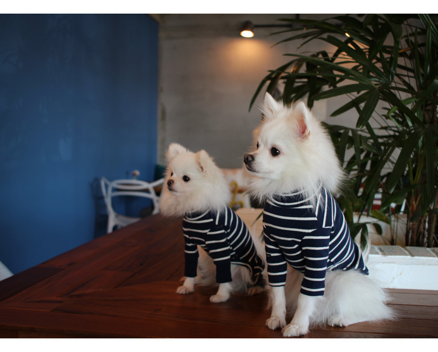 NEW DOG FASHION Lolo Dog Puppy Clothes Beige Sprit