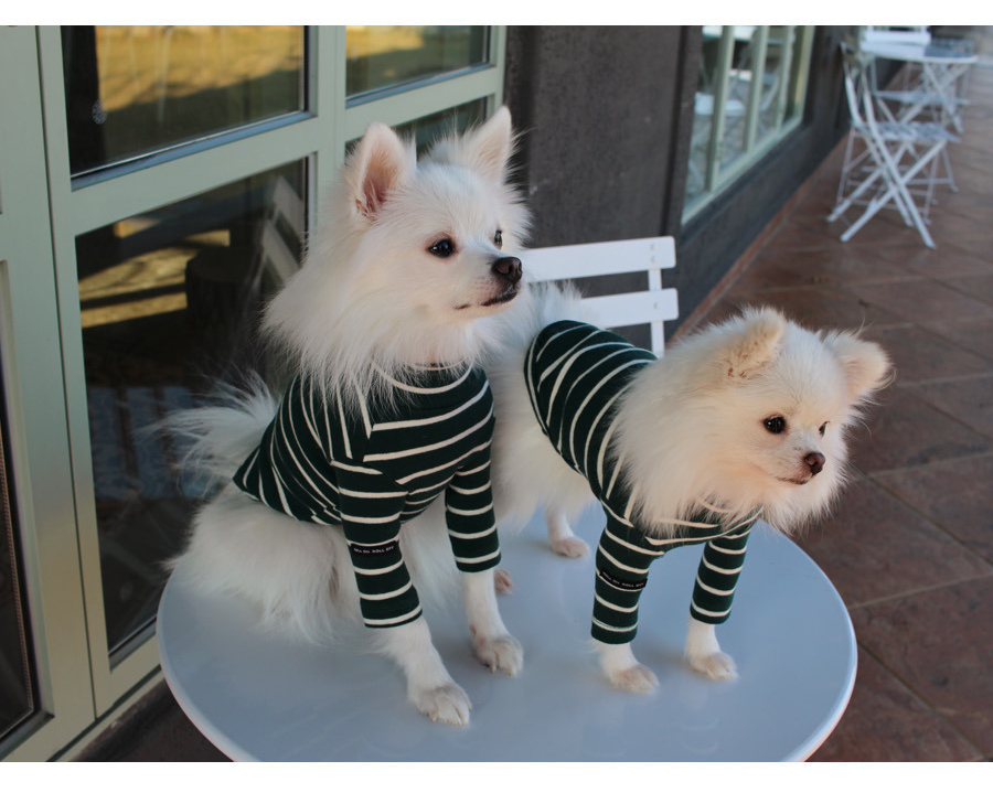 NEW DOG FASHION Lolo Dog Puppy Clothes Beige Sprit